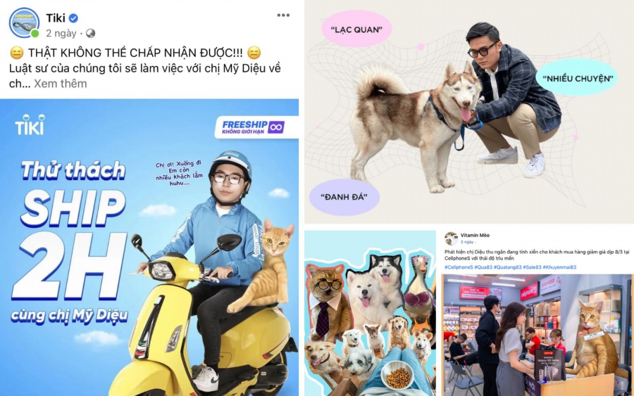 Pet Influencer là xu hướng Marketing thịnh hành 2024